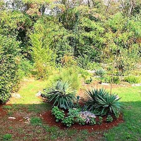 Appartement Jelena à Poreč Extérieur photo